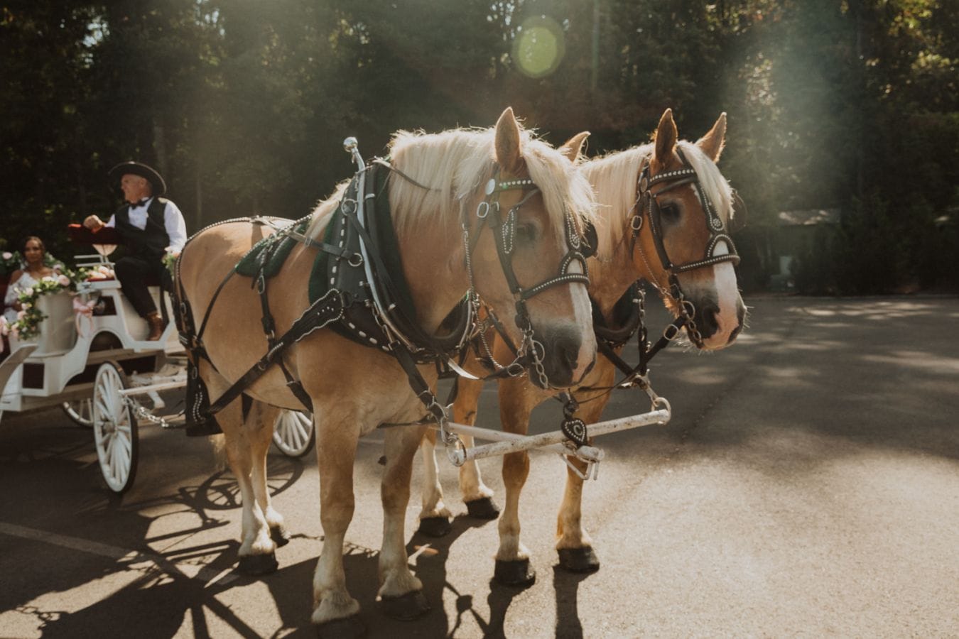 Heather & John wedding at Abernethy Center, Oregon City, OR — photo 40