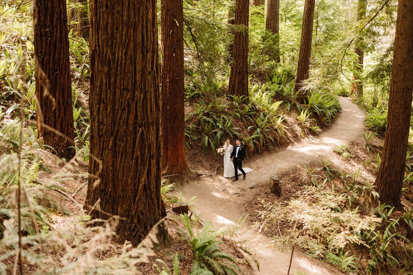 Lisa & Bryan wedding at Hoyt Arboretum, Portland, OR — photo 10