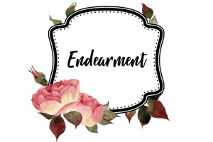 Endearment Wedding Package